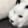 Spring Fox (Rabbit Fur) (2) - Image 2