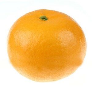 Latex Orange