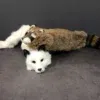 Spring Fox (Rabbit Fur) (2) - Image 5