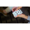 Alter by Kelvin Chow & Lost Art Magic - Video DOWNLOAD - Image 2