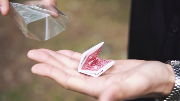 Uncatchable by Olivier Pont video DOWNLOAD - Image 5