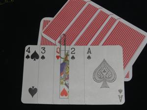 Clip Card Jumbo