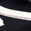 Ultimate Self Working Card Tricks: Ryan Matney video DOWNLOAD - Image 5