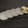 Morgan Dollar Shell and Coin Set (4 Coins 1 Shell) - Image 4