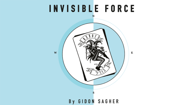 Invisible Force by Gidon Sagher eBook DOWNLOAD