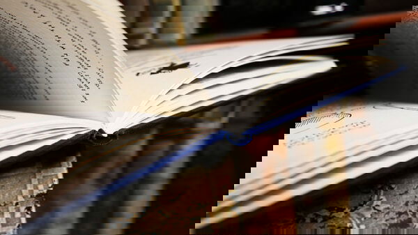 Television Puppet Magic (Limited/Out of Print) by Ian Adair - Image 4