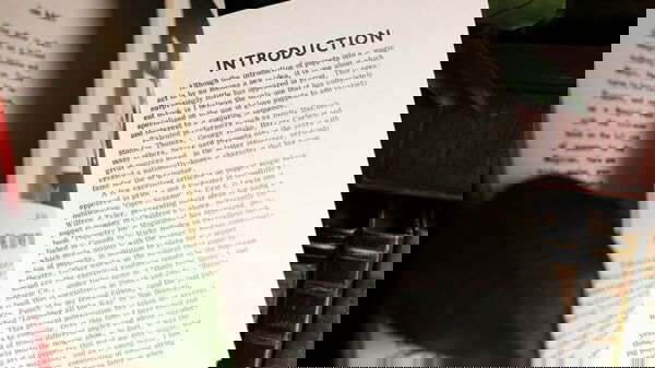 Television Puppet Magic (Limited/Out of Print) by Ian Adair - Image 5