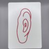 This One Ear gaff card printed on Bicycle stock (Blue) (237)