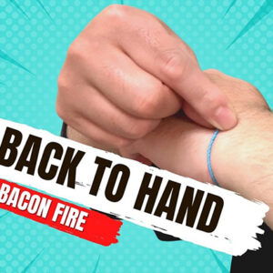 The Vault - Back to Hand by Bacon Fire video DOWNLOAD