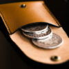 POCKET PORTAL (Dollar) - Image 2