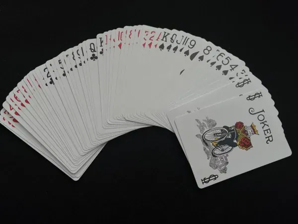Ultra-Thin Manipulation Deck (Bicycle Style) - Image 4