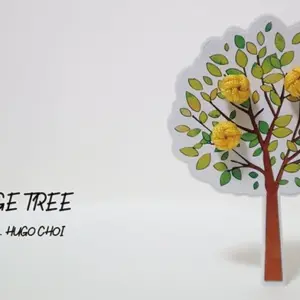 Orange Tree by Hugo Choi