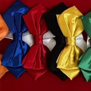 Quick Change Bow Tie