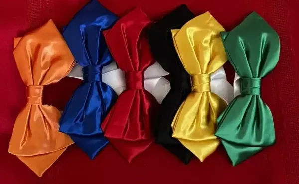 Quick Change Bow Tie