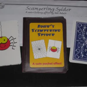 Adair’s Scampering Spider