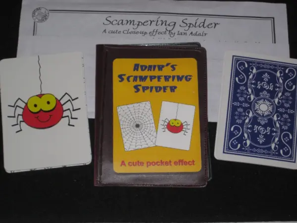 Adair’s Scampering Spider