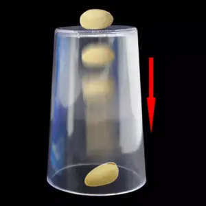 MAGNETIC PISTACHIO NUT PENETRATE GLASS LU CHEN NEW MAGIC TRICK MAGNET