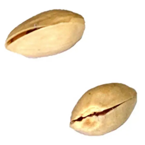 Pistachio Penetration - Image 2