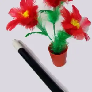 Flowers from Wand in Pot